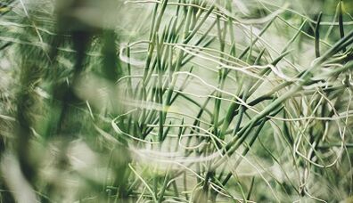 Kendi ellerinizle iyi şanslar muska nasıl yapılır