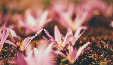 kendi ellerinizle iyi şanslar muska nasıl yapılır